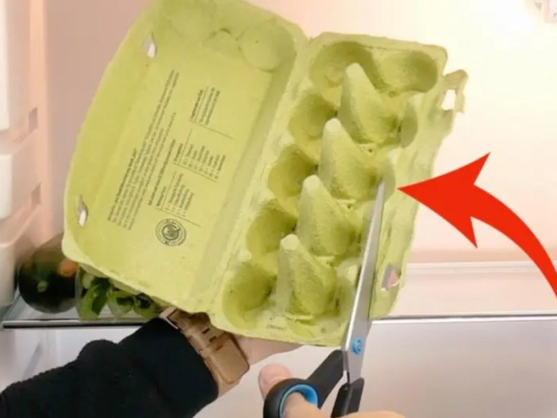 ein leerer Eierkarton wird zerschnitten