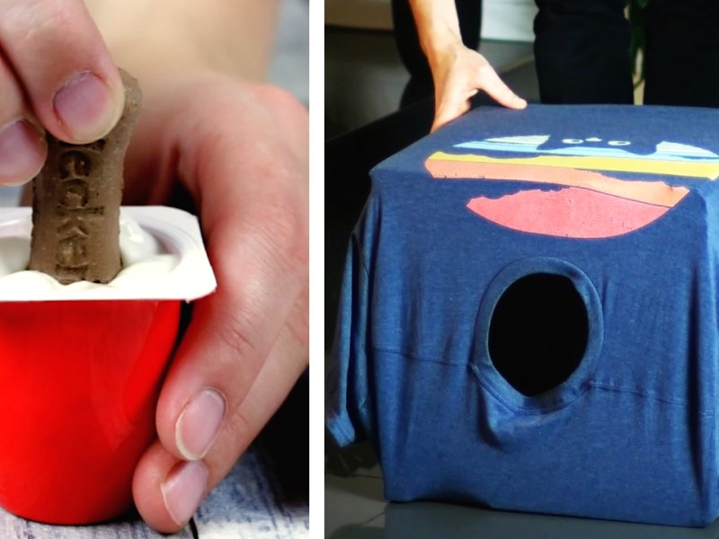Auf der linken Seite sieht man, wie jemand ein Hundeleckerli in einen Fruchtzwegebecher steckt und auf der rechten Seite sieht man einen Karton, über den ein T-Shirt gezogen wurde