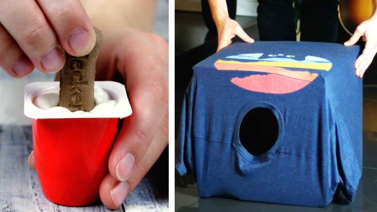 Auf der linken Seite sieht man, wie jemand ein Hundeleckerli in einen Fruchtzwegebecher steckt und auf der rechten Seite sieht man einen Karton, über den ein T-Shirt gezogen wurde