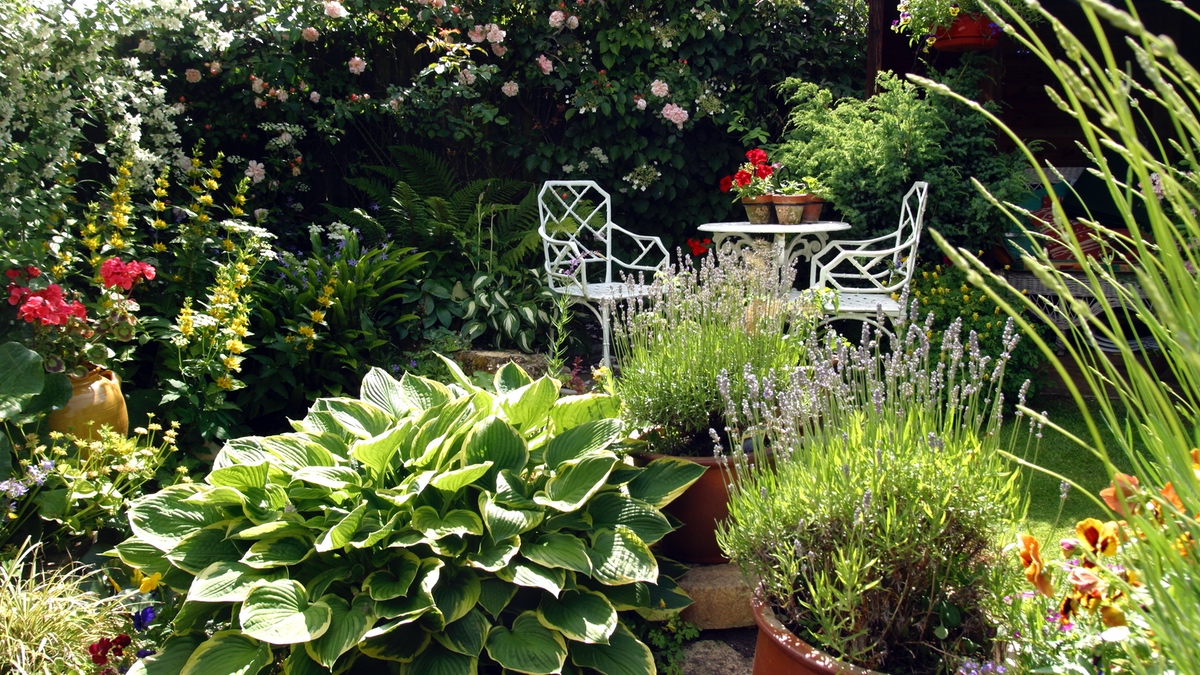 Ein kleiner Garten mit vielen Pflanzenkübeln.