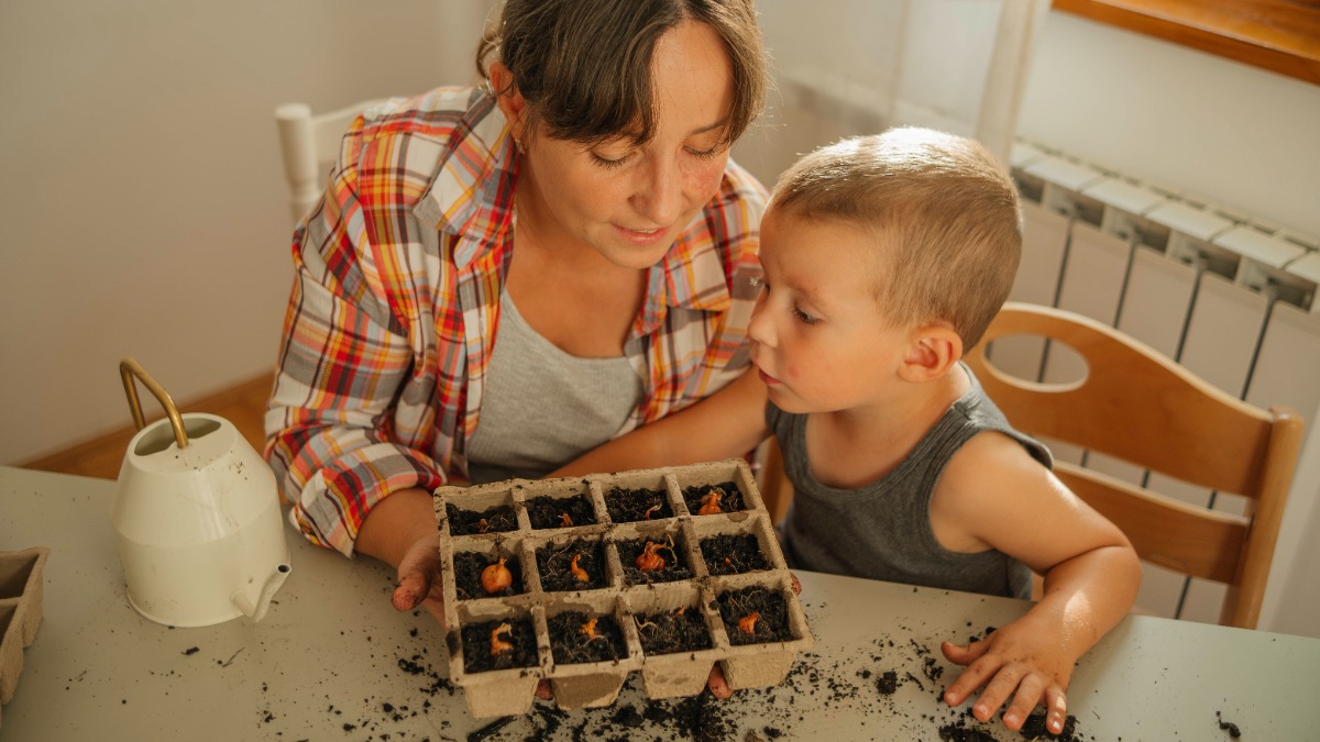 Mutter und Sohn pflanzen Gemüse an