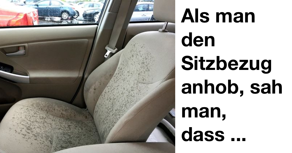 Auto Gerüche entfernen