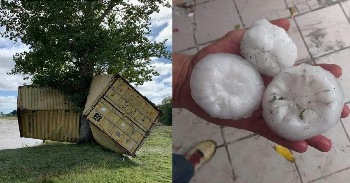 Starker Baum und riesige Hagelkörner