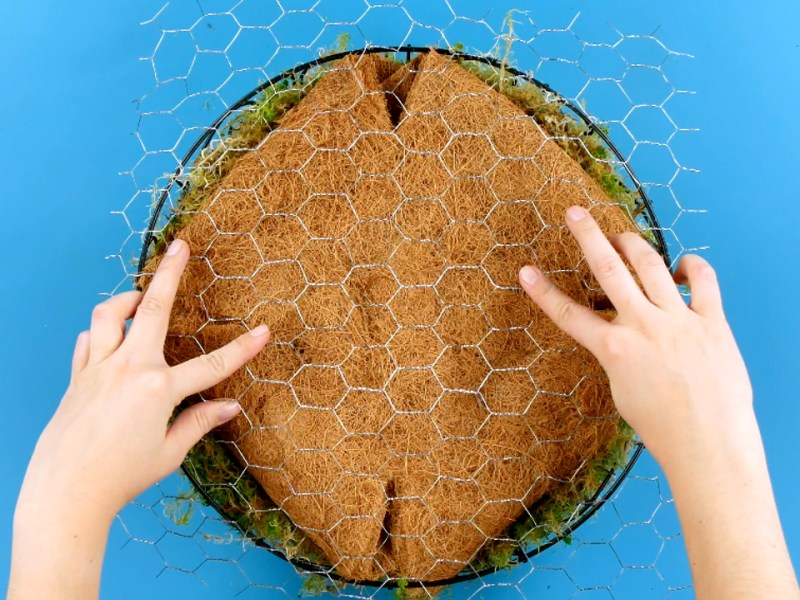 Niedliche Idee für Pflanzenfreunde | Sukkulenten Schildkröte