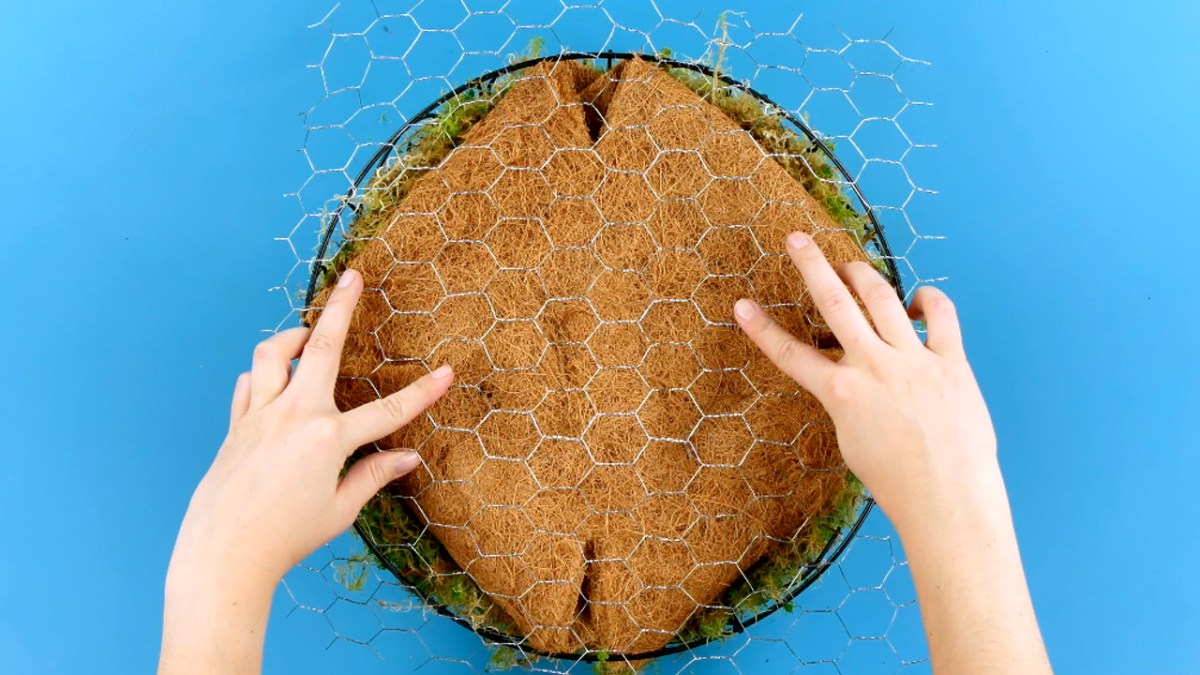 Niedliche Idee für Pflanzenfreunde | Sukkulenten Schildkröte