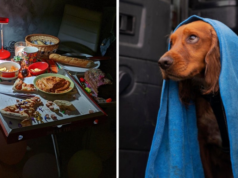 Tisch nach einer Partynacht und Hund mit blauem Handtuch