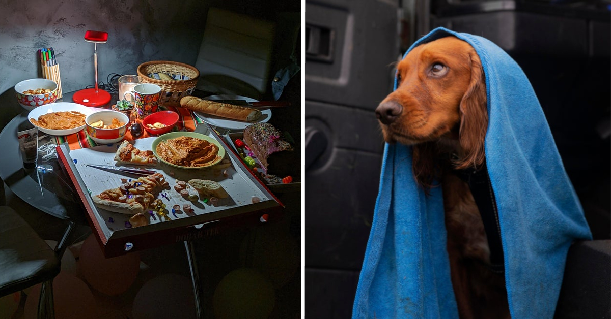 Tisch nach einer Partynacht und Hund mit blauem Handtuch