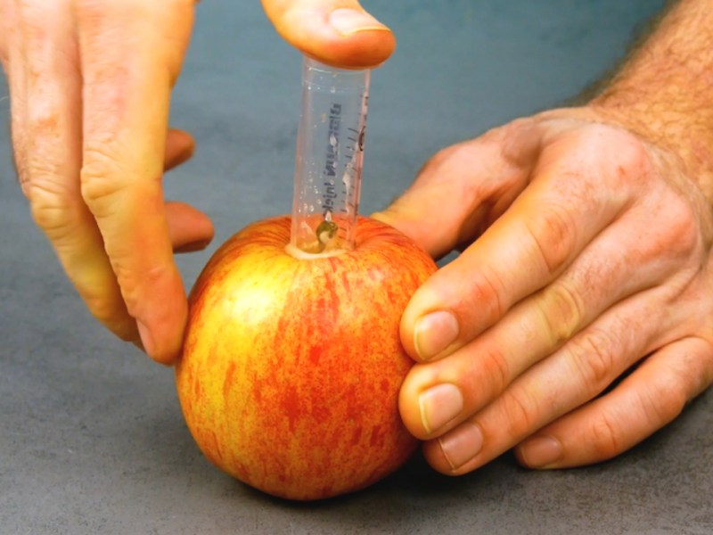 Granatapfel entkernen und Hokkaido schälen | 9 Essenstricks