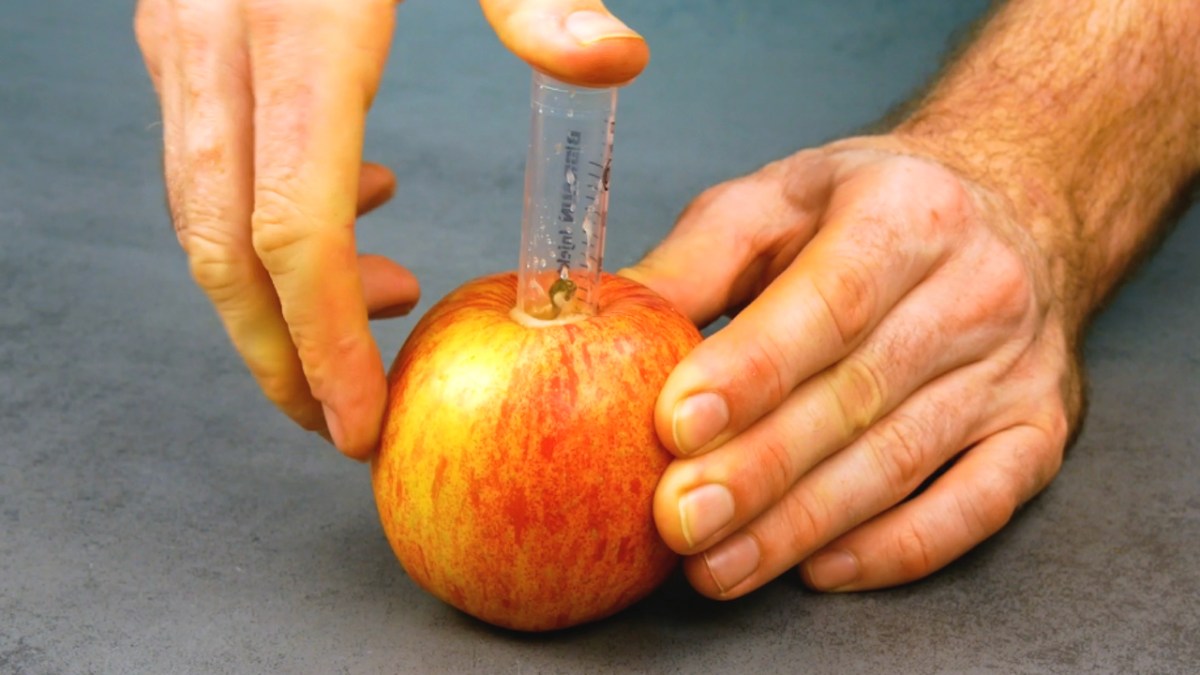 Granatapfel entkernen und Hokkaido schälen | 9 Essenstricks