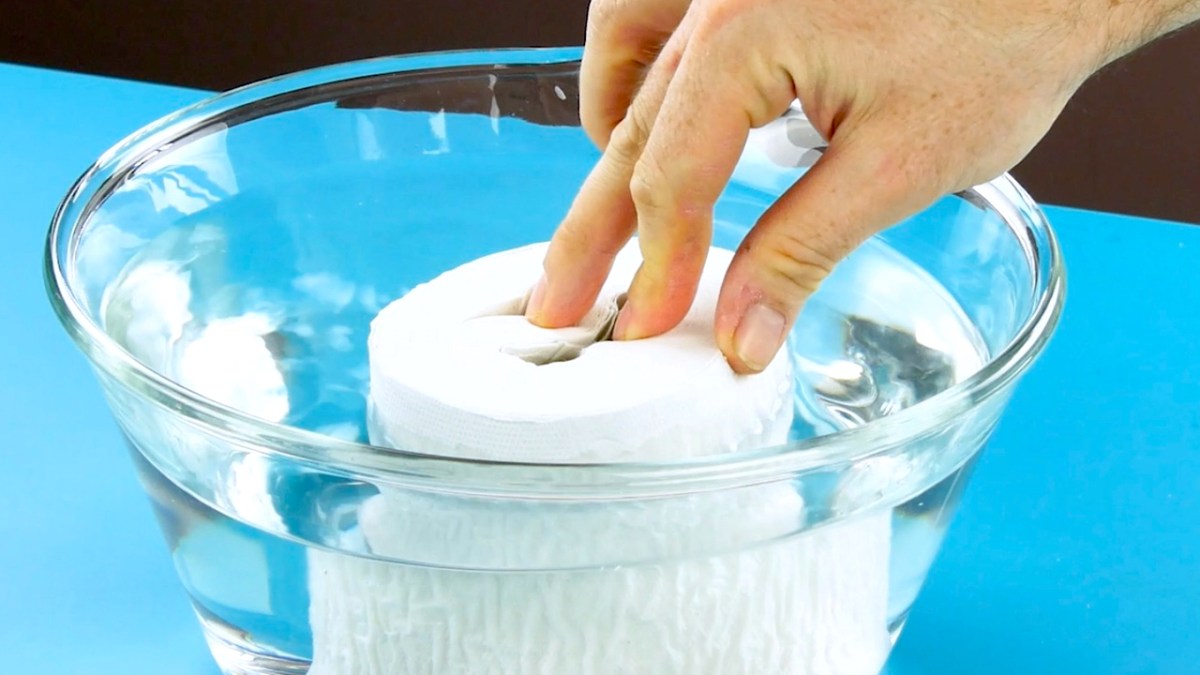 Toilettenpapierrolle wird eingeweicht
