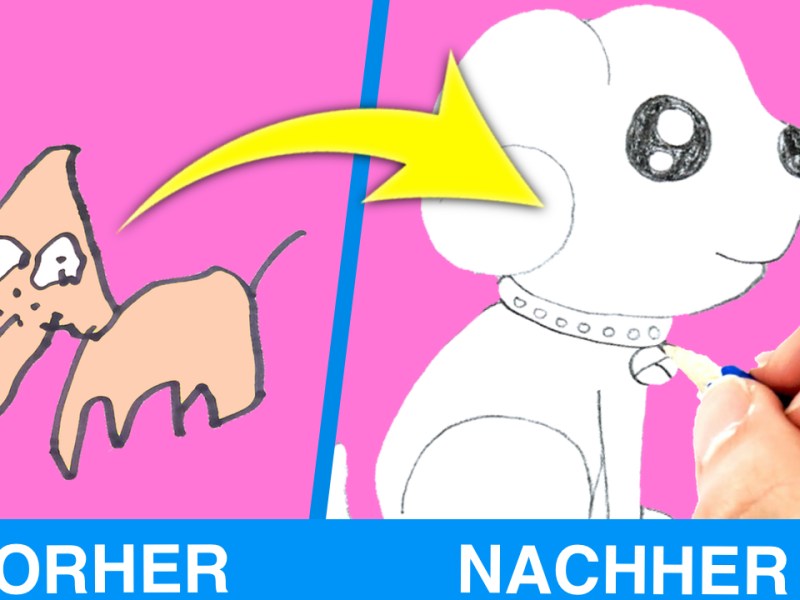 Vergleichsbild von zwei Hundezeichnungen