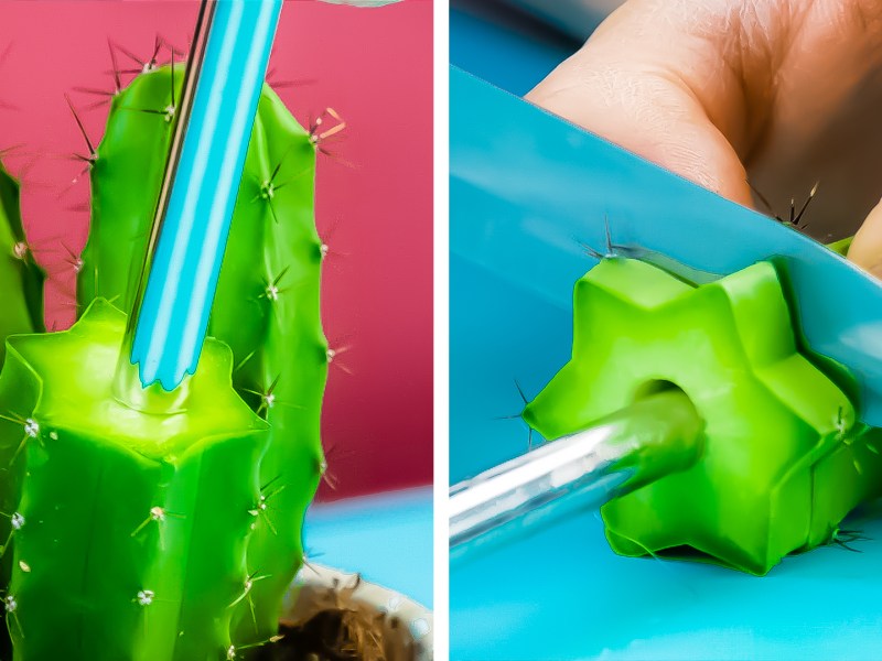 8 Tricks für deine Zimmerpflanzen | Pflanzenpflege und Co.