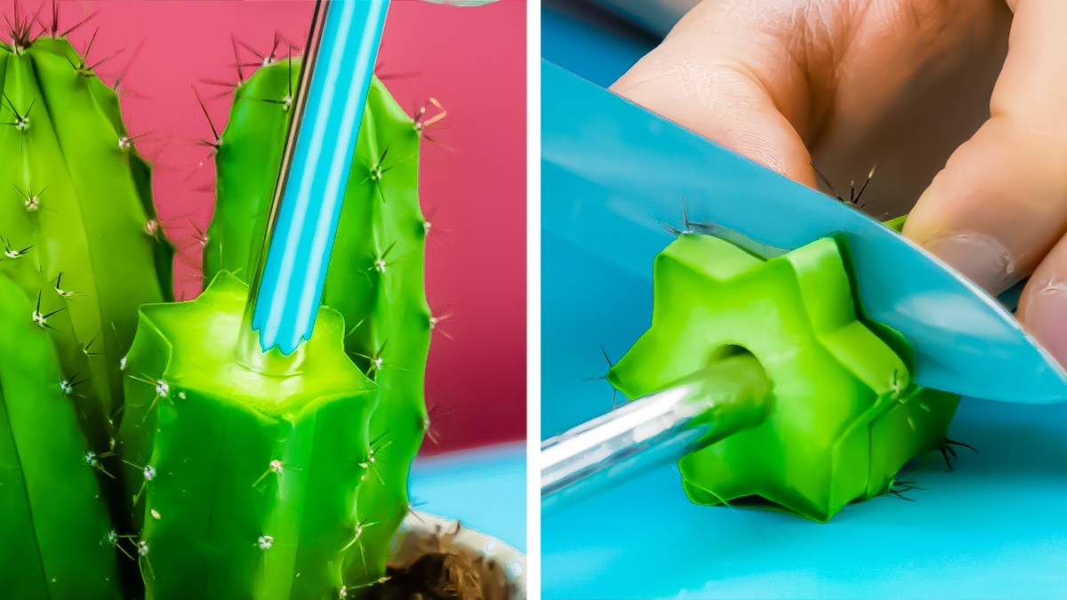8 Tricks für deine Zimmerpflanzen | Pflanzenpflege und Co.