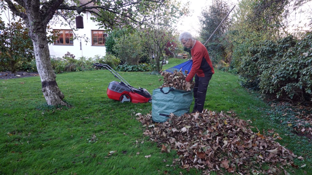 Ein Mann packt mithilfe eines Rechens Herbstlaub in einen hellblauen Sack.