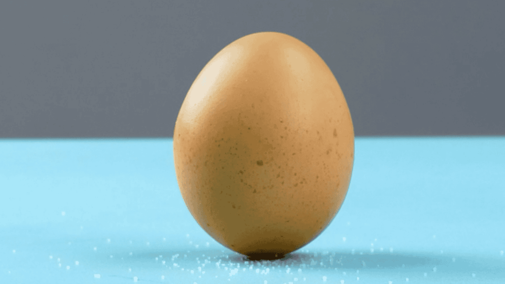 Experimente mit Eiern