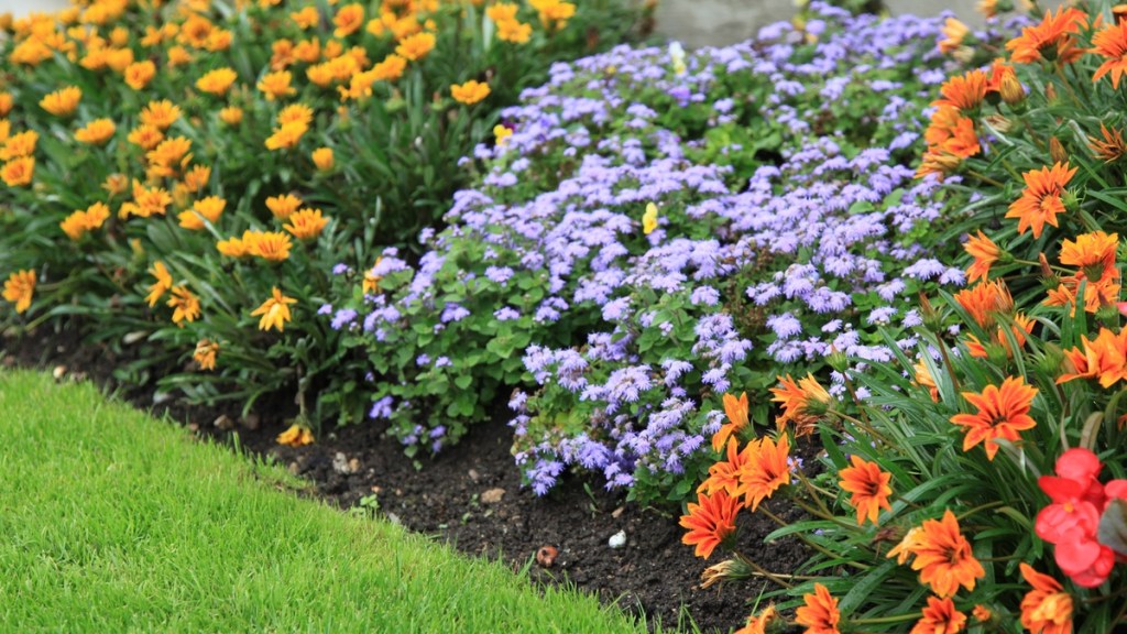 Ein blühendes Blumenbeet