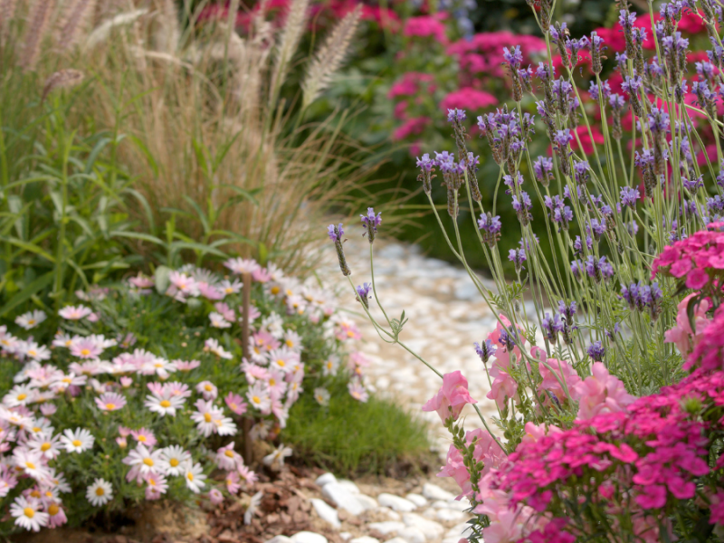 Ein bunt blühender Garten