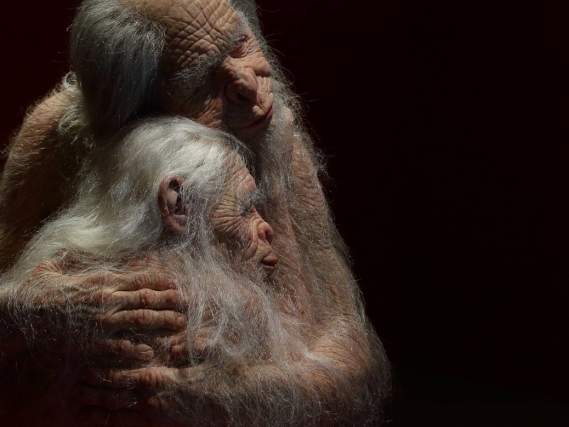 Mensch-Tier-Mischwesen: Kunstwerk von Patricia Piccinini.