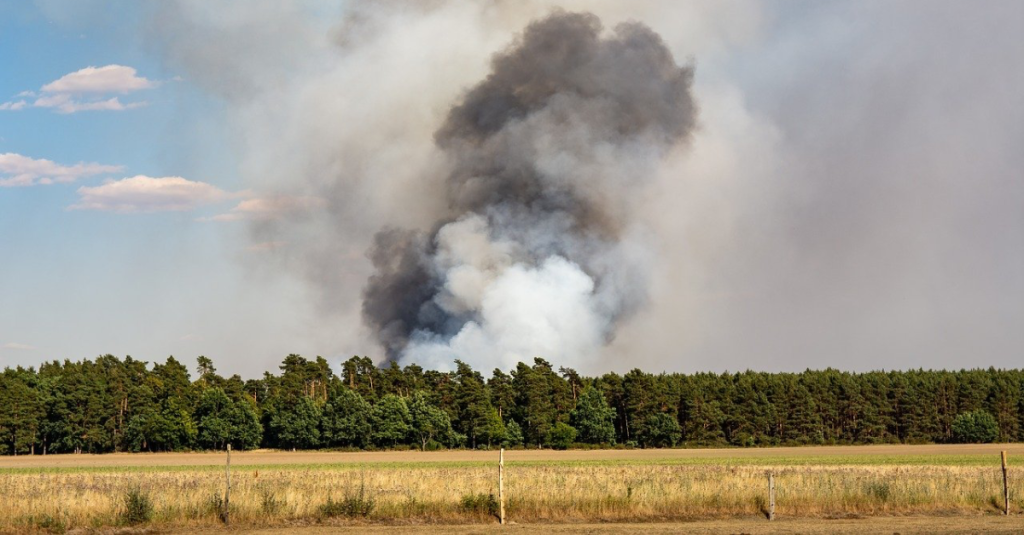 Waldbrand.