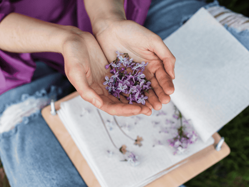Blumen und Blüten trocknen