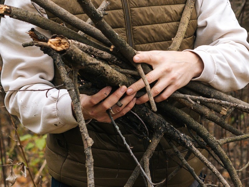 Darf man Brennholz im Wald sammeln?