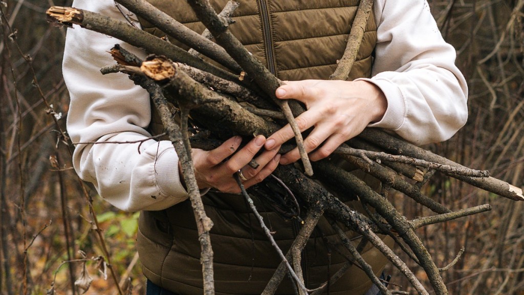 Darf man Brennholz im Wald sammeln?