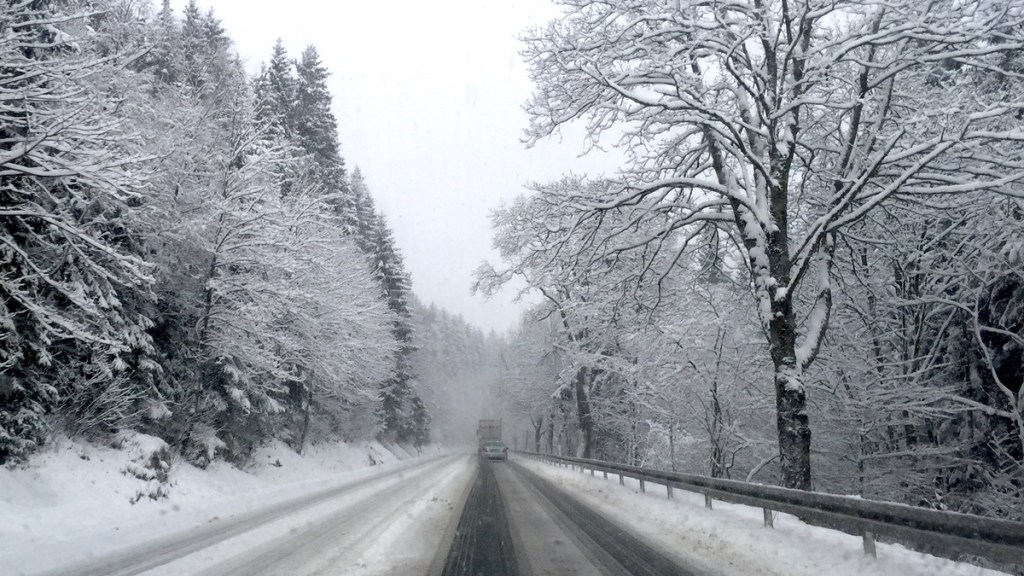 Eine beschneite Straße, die von Bäumen umrandet ist.