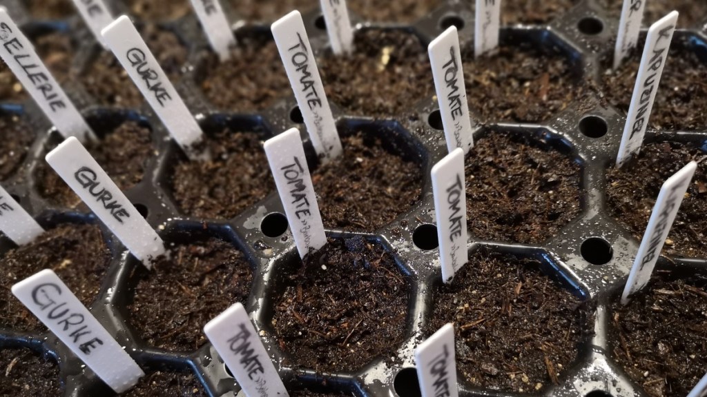 Gartenarbeit im März: Gemüse vorziehen.