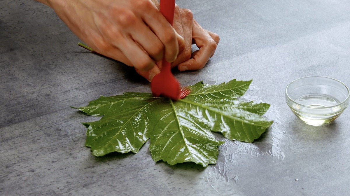 Ein Ahorn-Blatt wird mit Öl bestrichen.