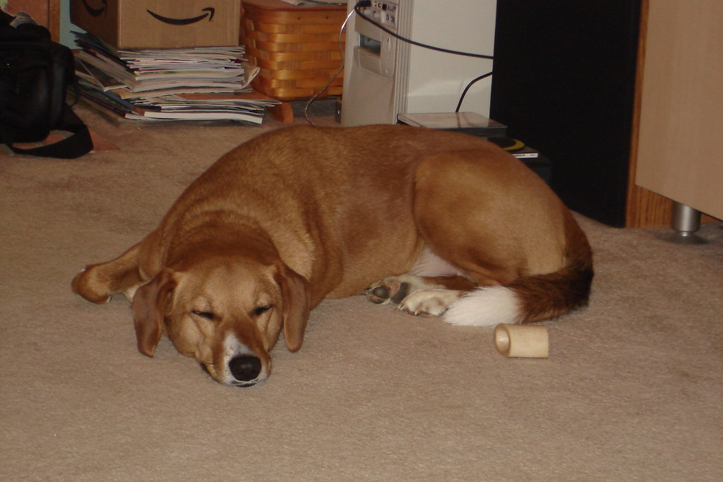 napping