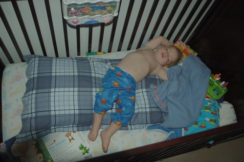 Joey sleeping