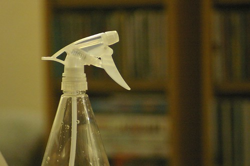 Spray Bottle