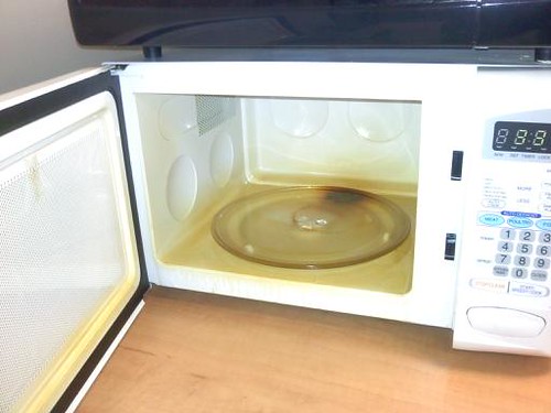 Burned Microwave