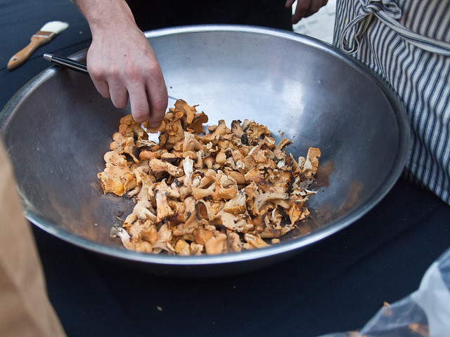 Killbuck Valley Plated Landscape - Chanterelles