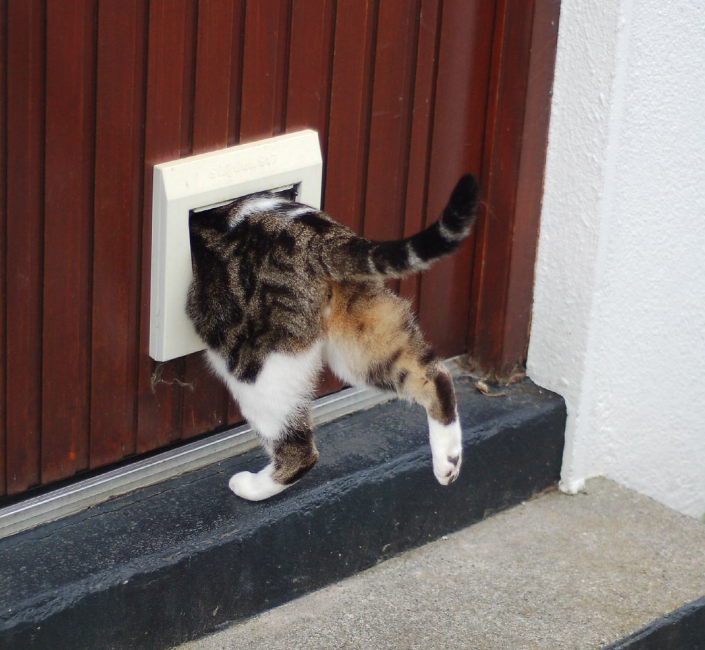 Katzenklappe