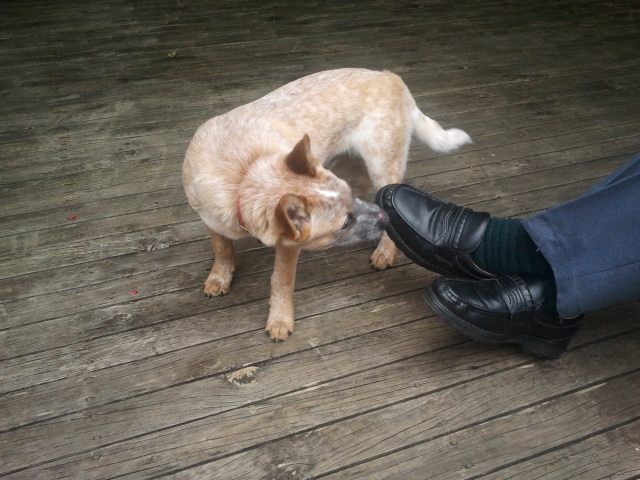 Murray, meet shoes