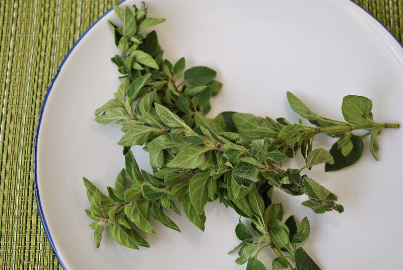 Fresh Oregano