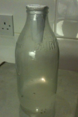 Fruit fly morgue - milk bottle and vinegar