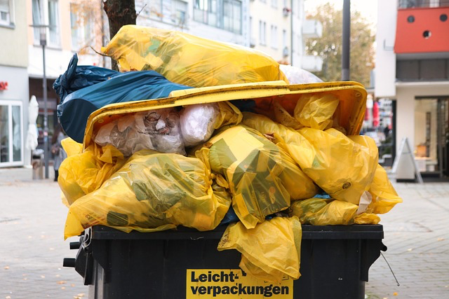 MÃ¼lltonne nicht geleert: Ãœberquellende oder falsch befÃ¼llte Tonnen fÃ¼hren dazu, dass die MÃ¼llabfuhr den MÃ¼ll nicht abholt.