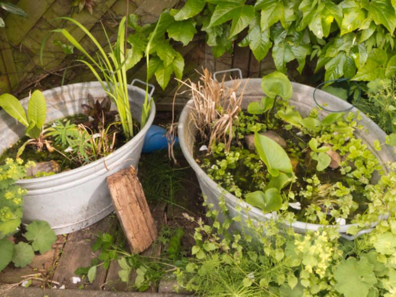 Ein Bild von einem kleinen selbstgemachten Gartenteich.