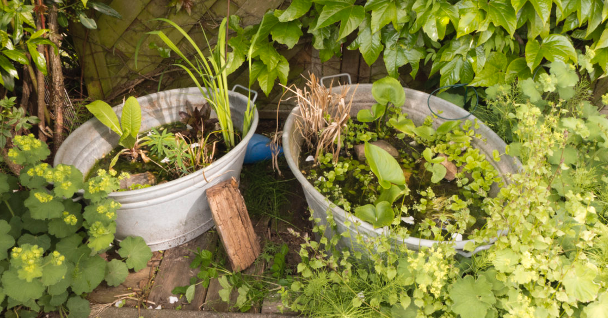 Ein Bild von einem kleinen selbstgemachten Gartenteich.