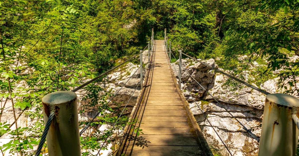 Eine Hängeseilbrücke im Wald.