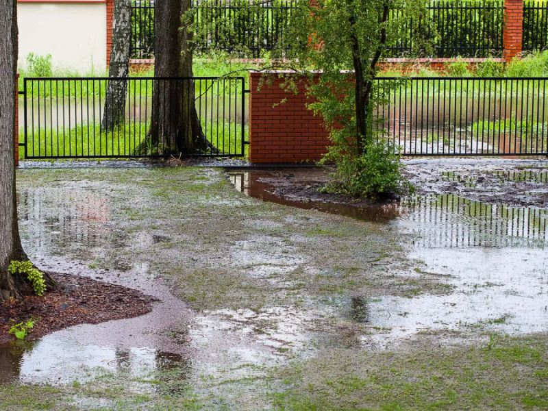 Starkregen: So schützt du deinen Garten vor Sturm- und Gewitterschäden