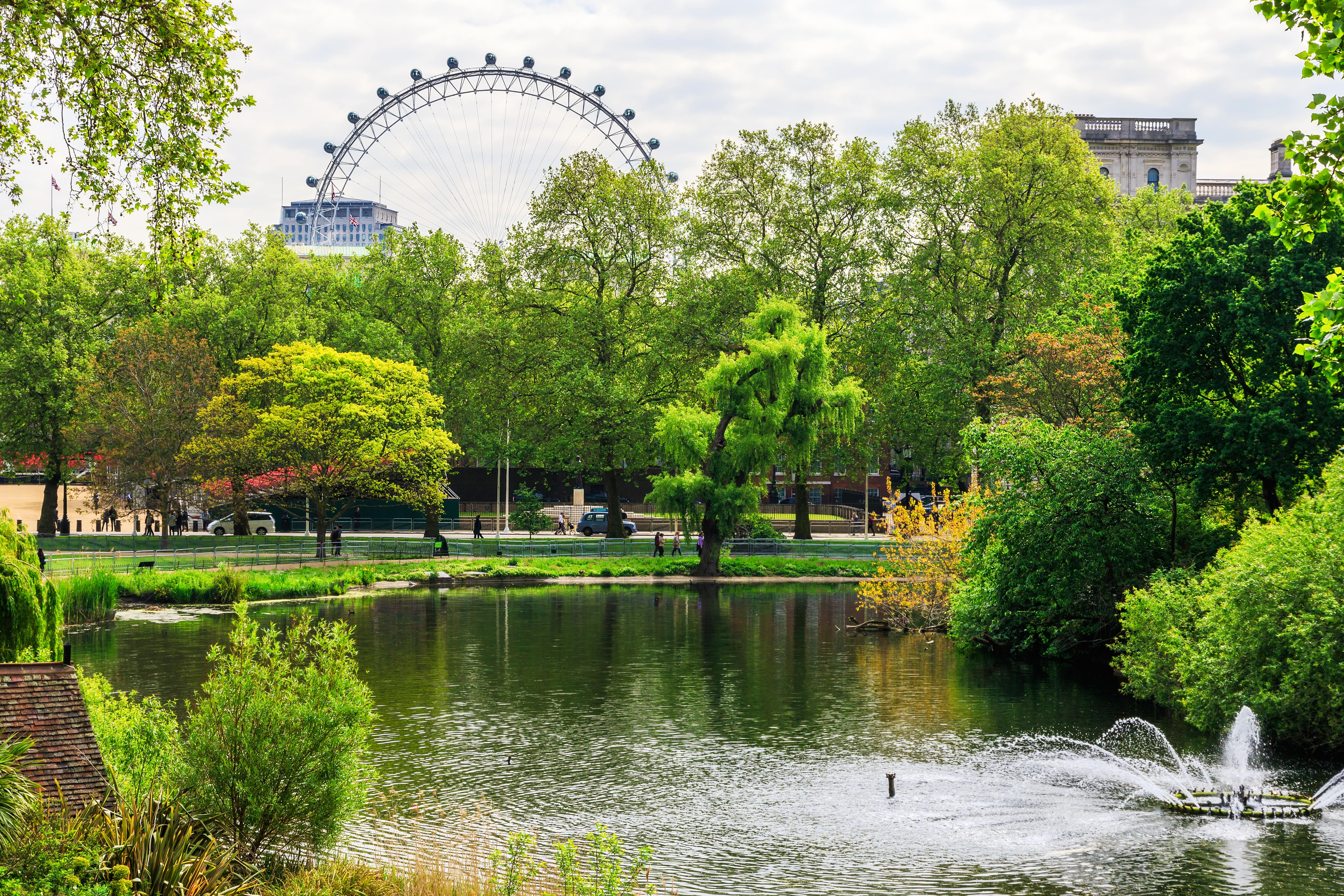 Eine grüne Park-Szenerie in London (St. James Park)