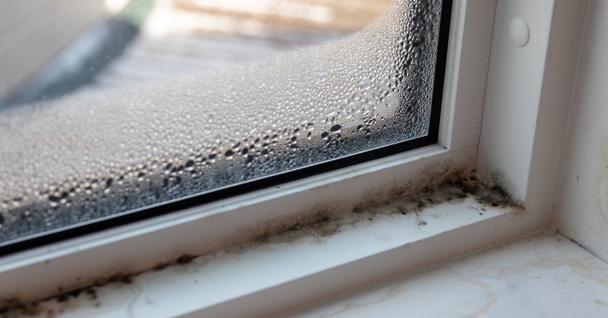 Schimmel und Kondenswasser an einem Fenster.