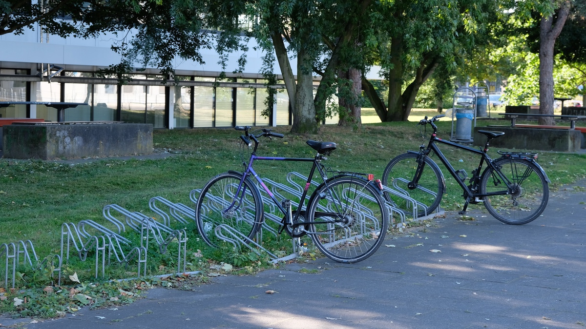 Zwei Fahrräder stehen in einem allseits bekannten Fahrradständer.