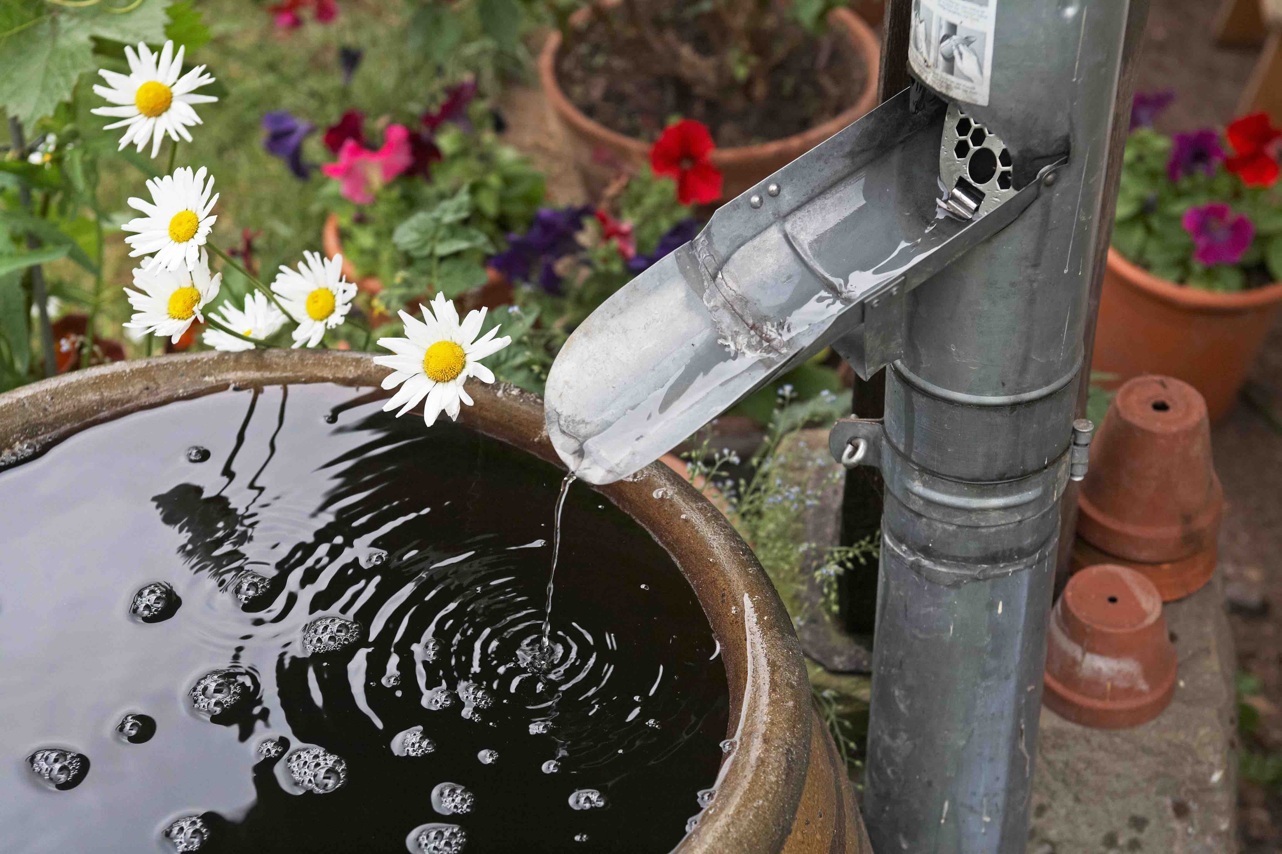 Regenwasser aufsammeln.