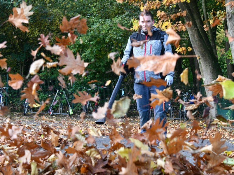 5 Dinge, die du niemals mit einem Laubbläser machen solltest.