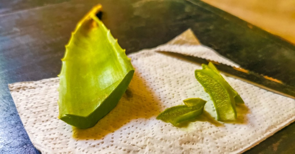 Zahnfleischrückgang stoppen: eine aufgeschnittene Aloe vera liegt auf einem Küchentuch