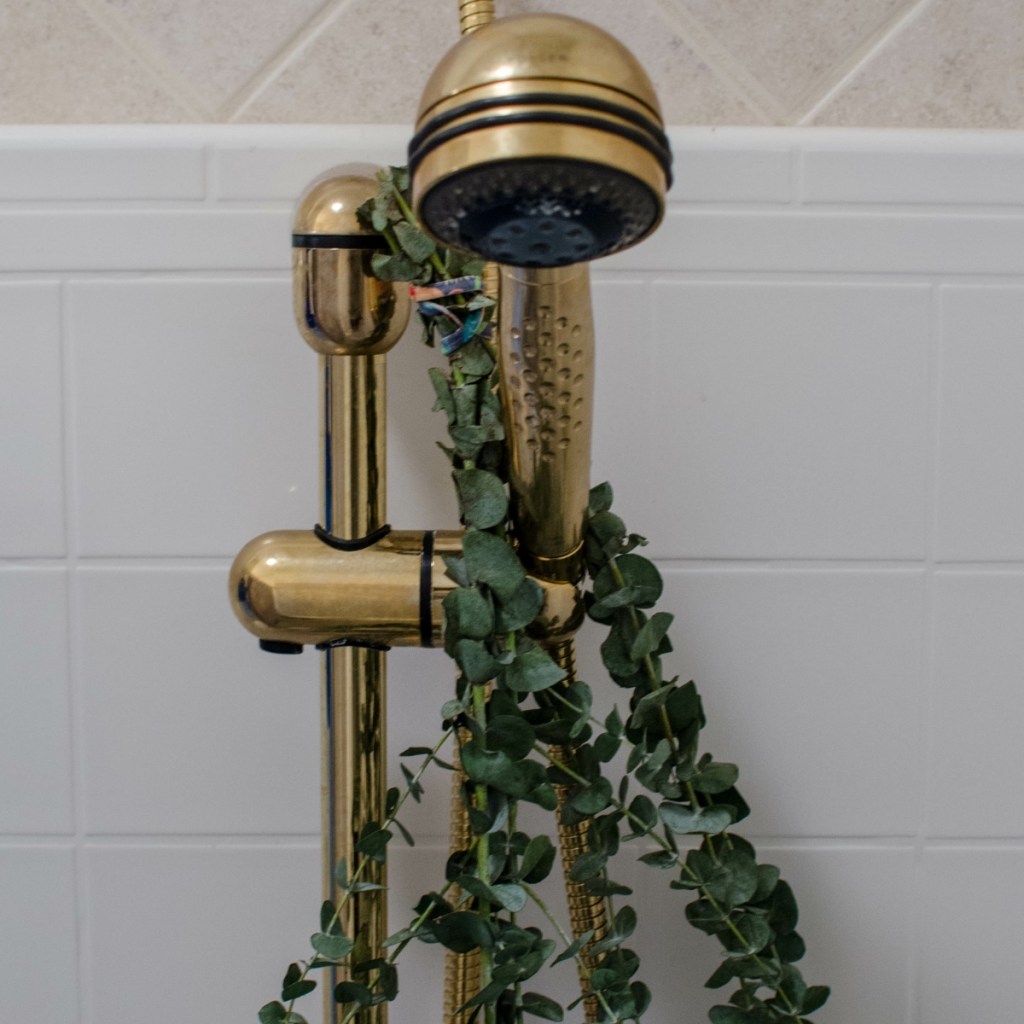 Ein Eukalyptus-Zweig hängt an einem goldenen Duschkopf.